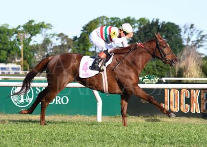 NANABUSH (IL CAMPIONE) FUE UNA PARED AL FRENTE EN LA GRAN TARDE DE SU JOCKEY