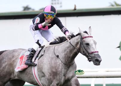 CIMA DE ARECO (CIMA DE TRIOMPHE) CONSERVO EL INVICTO Y SE CONSAGRA COMO LA MEJOR POTRANCA.