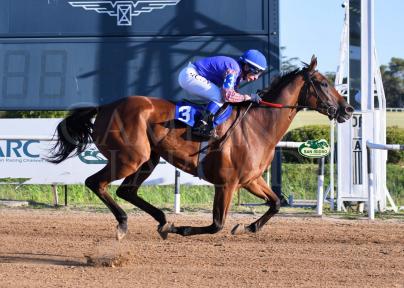 ABOGADA BRAVA (COSMIC TRIGGER) SENTENCIÓ A SUS RIVALES 