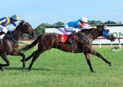 THE GREAT CASH (THE GREAT DAY) ESTIRÓ SU INVICTO VOLANDO CUAL GAVIOTA.