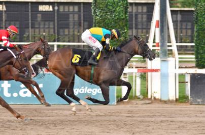 GALITZA (BODEMEISTER) LE GANÓ LA PULSEADA A COSTA DARK