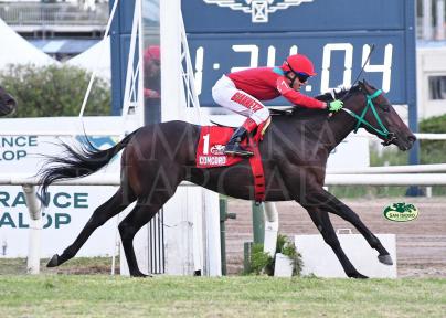 OBRA CLÁSICA Y UN SORPRENDENTE TRIUNFO DE CONCORD.