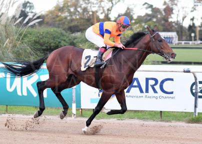 BEQUEPINGO (CITYSCAPE) FUE UNA MOLESTIA PARA SUS RIVALES.