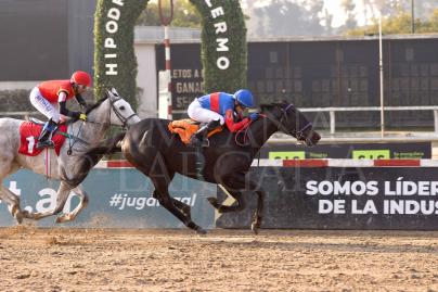 CENIZA PAMPA DEMOSTRO NO SER UN 