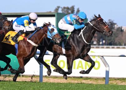 OTRO FINDE SEMANA CON MUCHAS ACTUACIONES DESTACADAS EN EL TURF ARGENTINO