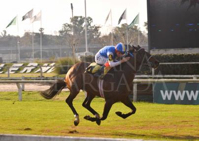 QUEBRANCHO JOY (FORTIFY) SORPRENDIÓ EN PALERMO