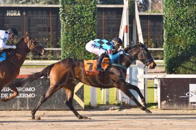 MOON FRANK (GIDU) ESTIRO EL INVICTO Y SE CONVIRTIO EN ESTRELLA