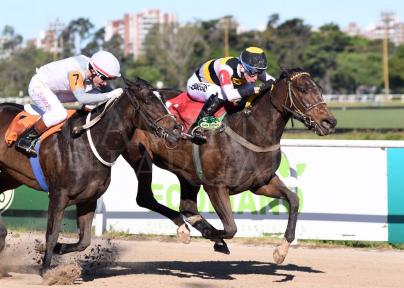 LOOK HAPPY (HI HAPPY) LE GANO LA REVANCHA A MI NEGRA PAULA