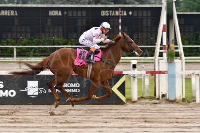 CHARM (STRATEGOS) SE CORONO EN EL GRAN PREMIO SELECCION (G1)