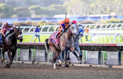 TED NOEFFY CONFIRMA SU PODERIO