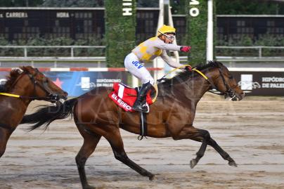 EL EPECUÉN, OTRO GANADOR DE G1 EN LA RECTA PARA EL PARAISO