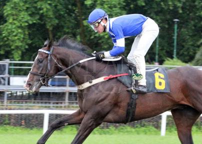 FIN DE SEMANA DE ACCION DESTACADA DEL TURF ARGENTINO, CON LA LLUVIA COMO PROTAGONISTA