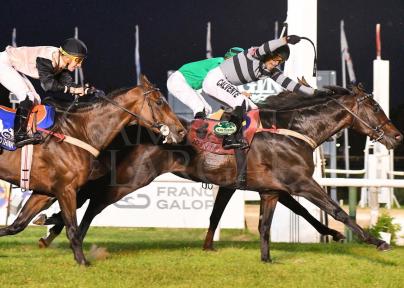 UNO POR UNO PELLEGRINI