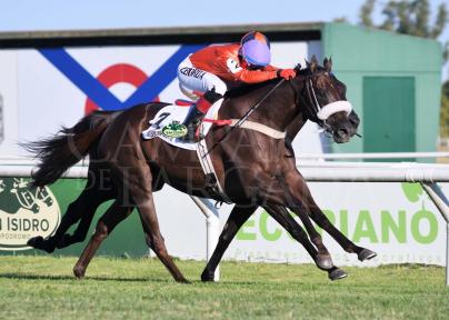 MISS TALENTO SORPRENDIO EN LA PRIMERA ESTELAR DE LA TARDE