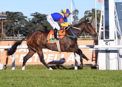 UNICA FORMA BRILLO COMO UNA ESTRELLA EN EL JUVENILE FILLIES