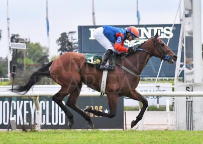 STAY TUNE FUE LA GRAN FIGURA DEL FIN DE SEMANA TRAS CONQUISTAR LA CARRERA MAS ANTIGUA DEL CALENDARIO HIPICO NACIONAL